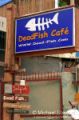 Siem Reap - Dead Fish Cafe
